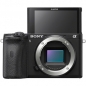 Preview: Sony Alpha 6600 Body