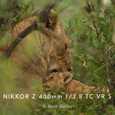 Nikkor Z 400mm f/2.8 TC VR S