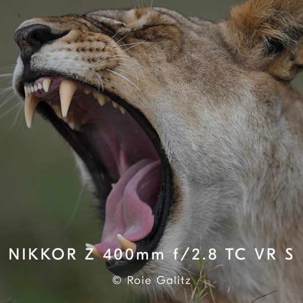 Nikkor Z 400mm f/2.8 TC VR S