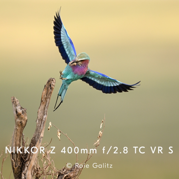 Nikkor Z 400mm f/2.8 TC VR S